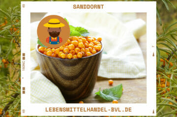 sanddorn