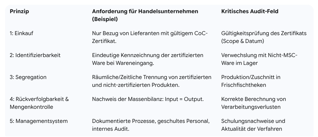 prinzipien